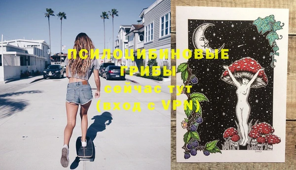 PSILOCYBIN Пролетарск